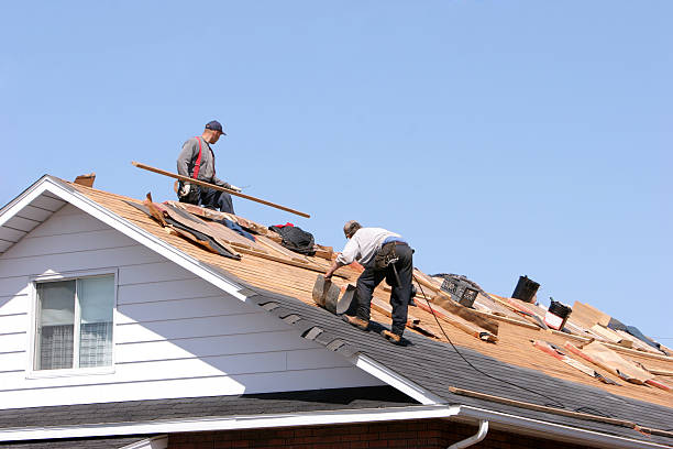 Best Gutter Installation and Repair  in East Cleveland, TN